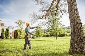Best Hazardous Tree Removal  in Collegedale, TN